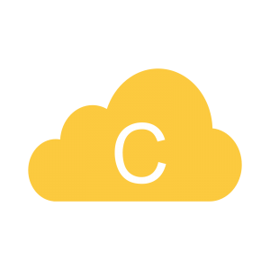 custom software development infrastructure