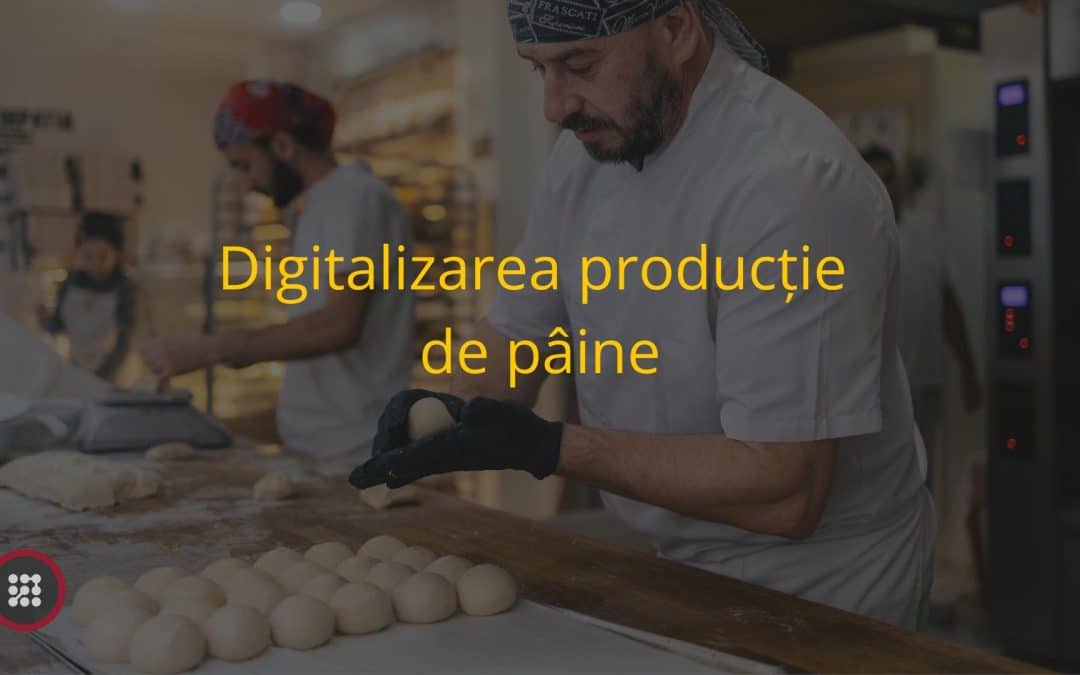 Digitalizarea producție de pâine : Cum putem optimiza viitorul producției de pâine?